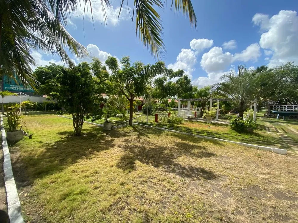 Terreno, 2 hectares - Foto 4