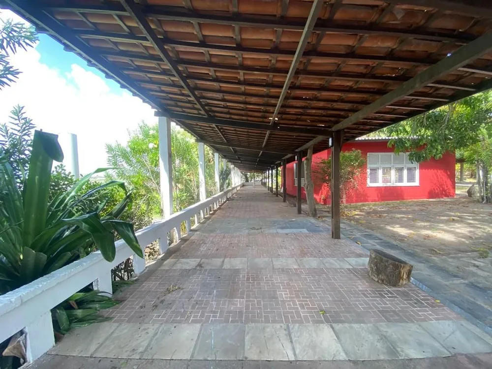 Terreno, 2 hectares - Foto 21