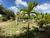 Terreno, 2 hectares - Foto 1
