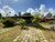 Terreno, 2 hectares - Foto 6