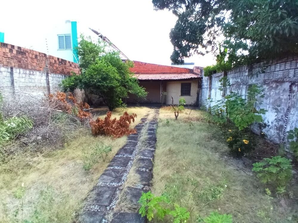 Casa, 4 quartos, 520 m² - Foto 6