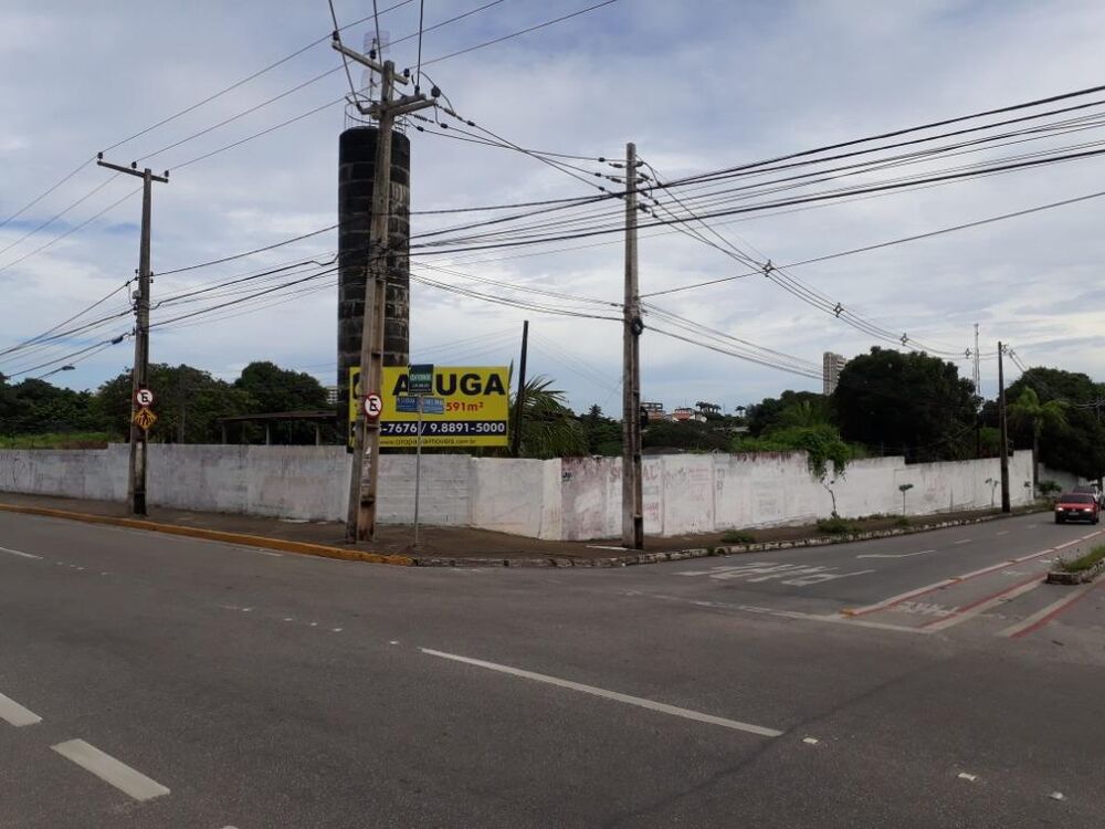 Terreno, 9600 m² - Foto 3