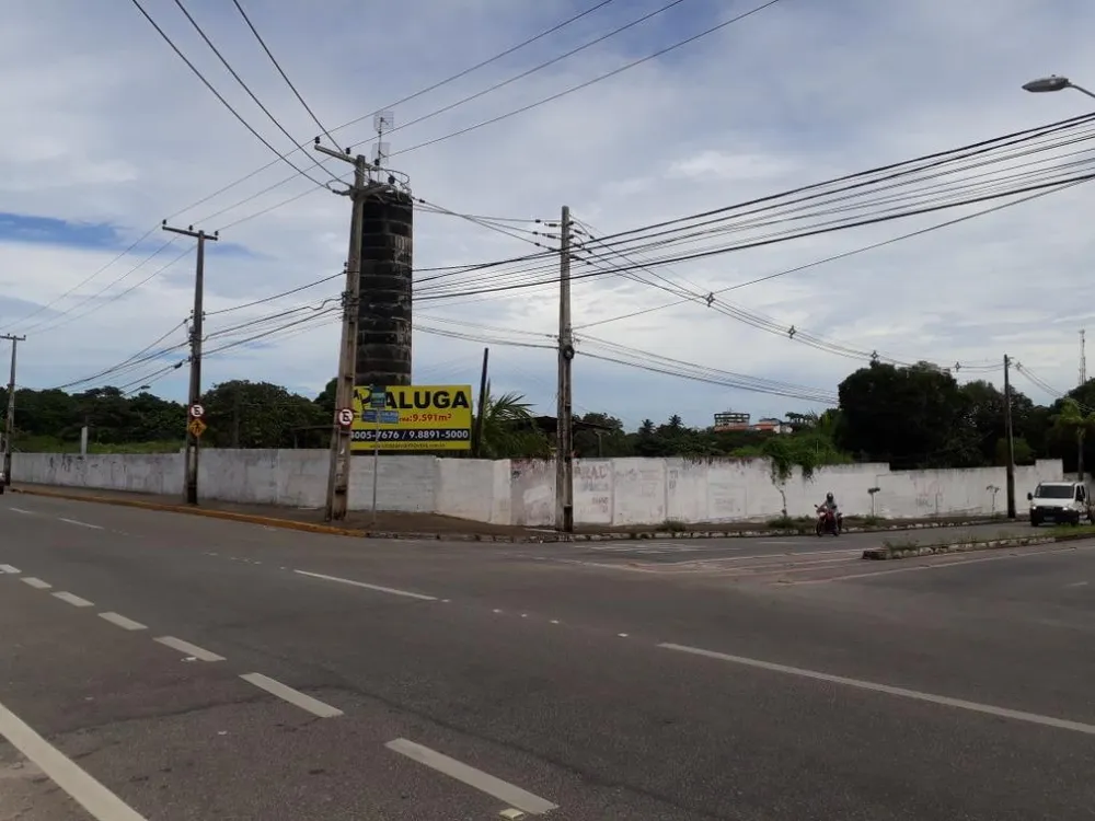 Terreno, 9600 m² - Foto 4