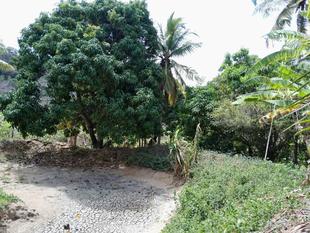 Terreno, 15 hectares - Foto 8