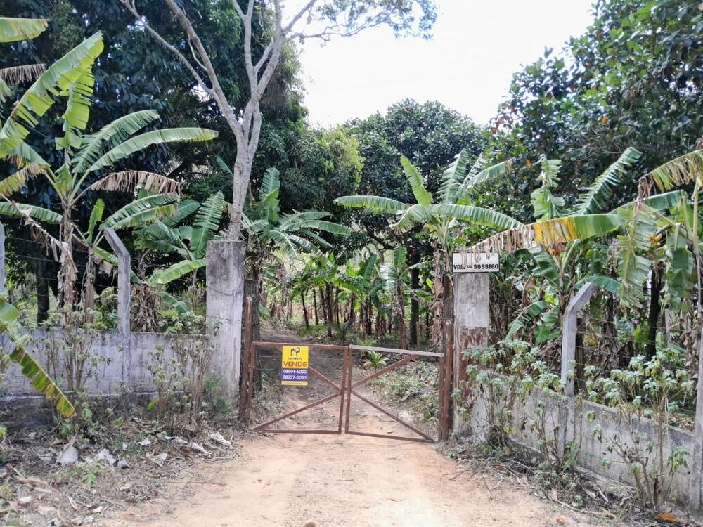 Terreno, 15 hectares - Foto 11