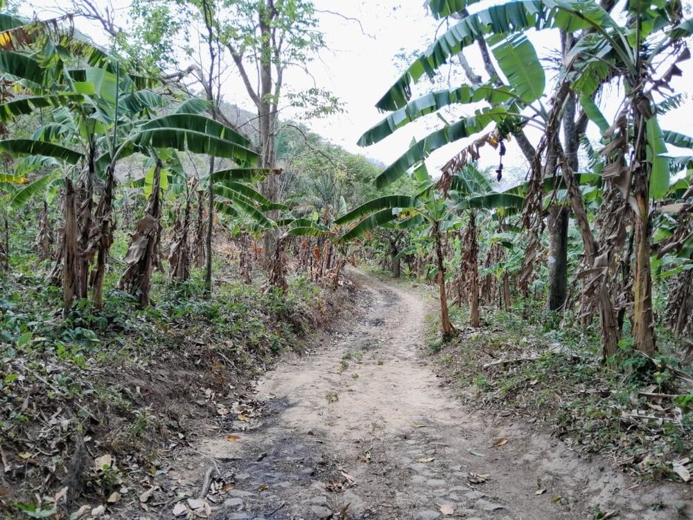 Terreno, 15 hectares - Foto 15