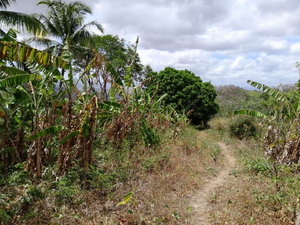 Terreno, 15 hectares - Foto 10