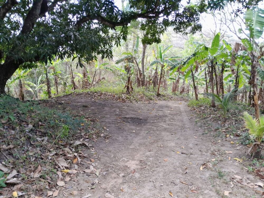 Terreno, 15 hectares - Foto 13