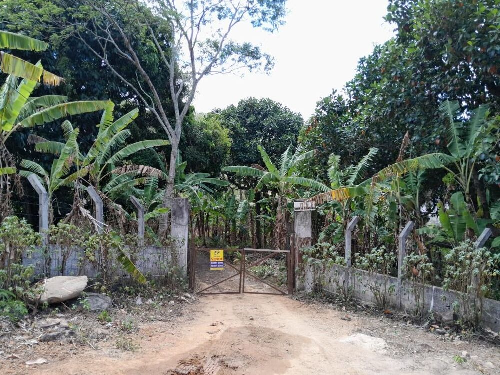 Terreno, 15 hectares - Foto 12