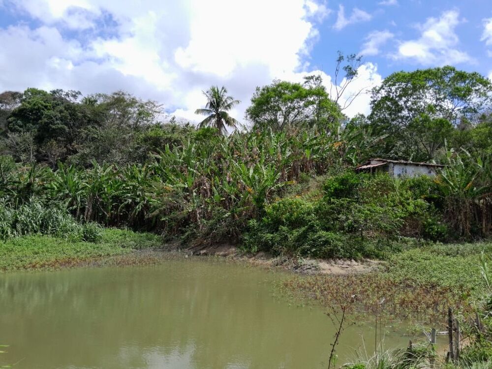 Terreno, 15 hectares - Foto 2