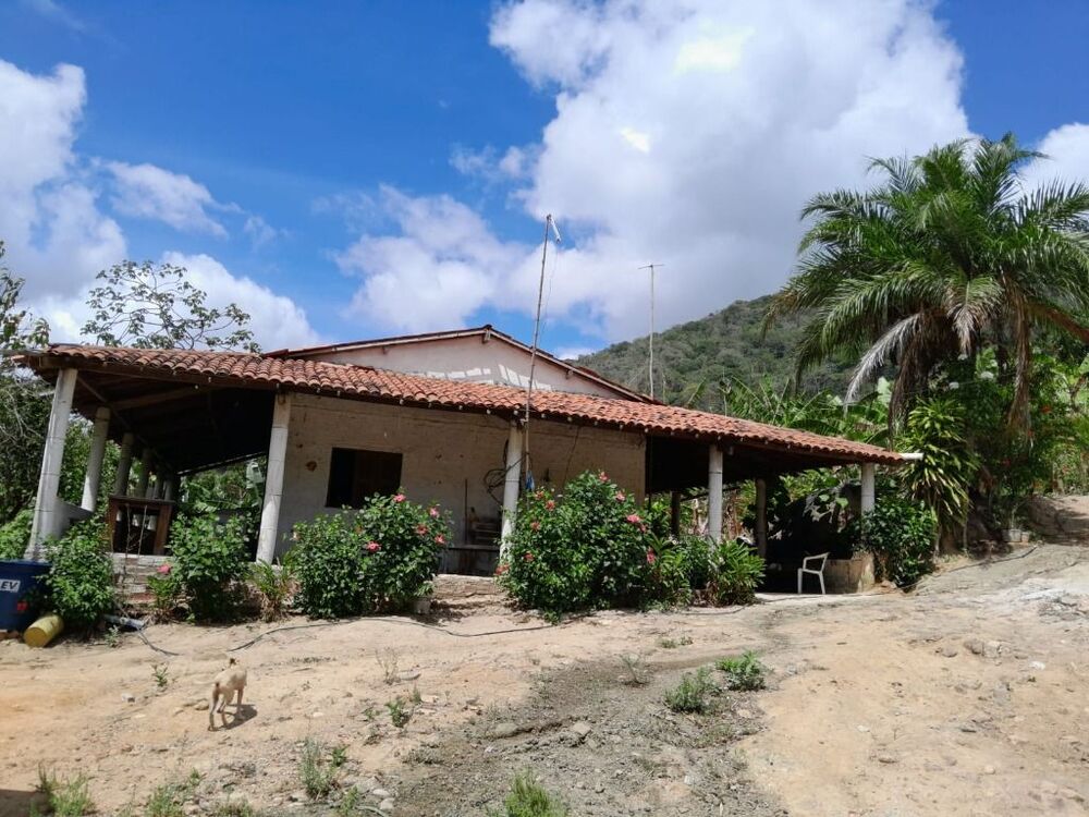 Terreno, 15 hectares - Foto 6