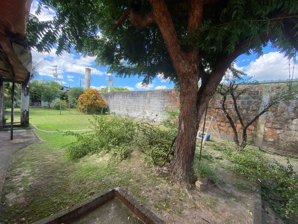Terreno, 1823 m² - Foto 5