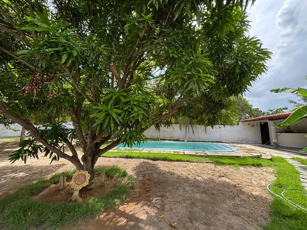 Chácara, 2 quartos, 1200 m² - Foto 6