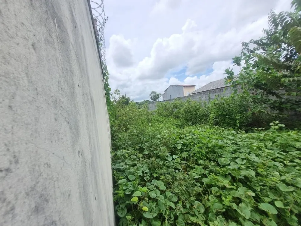 Terreno, 200 m² - Foto 1