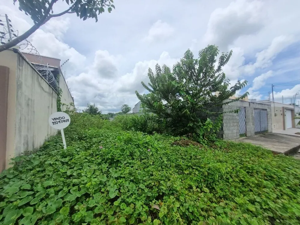 Terreno, 200 m² - Foto 4