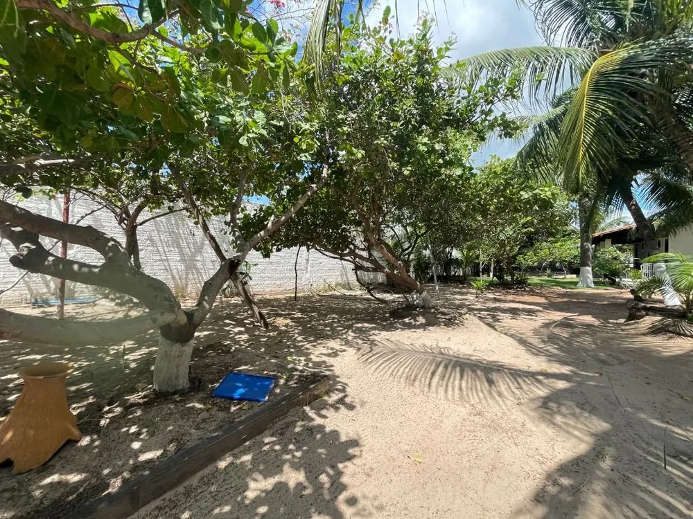Chácara, 2 quartos, 1320 m² - Foto 7