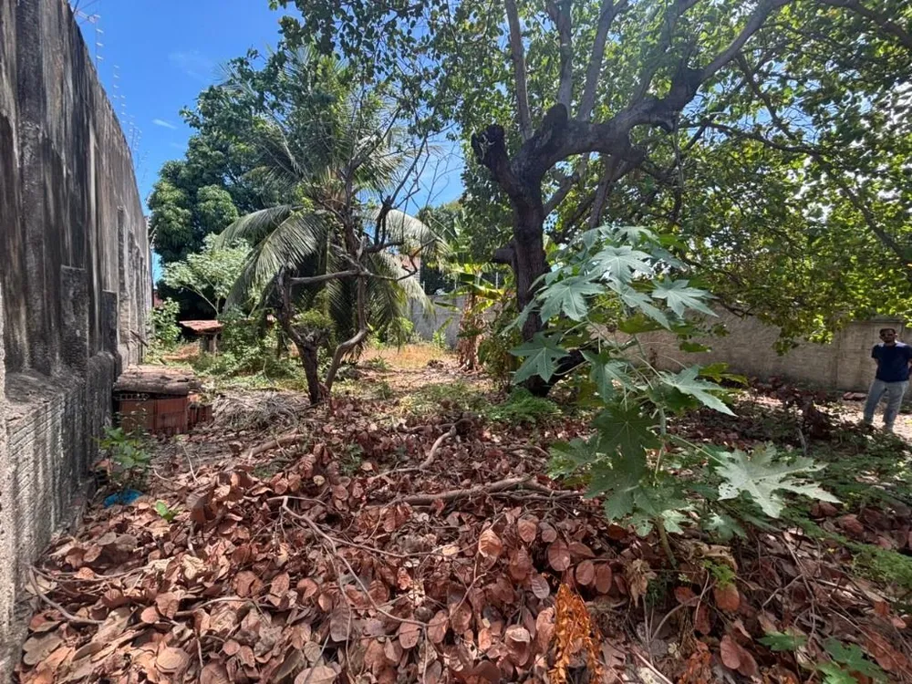Terreno, 487 m² - Foto 5