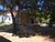Terreno, 1720 m² - Foto 9