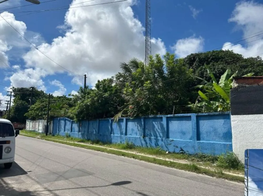 Casa, 3 quartos, 1575 m² - Foto 3