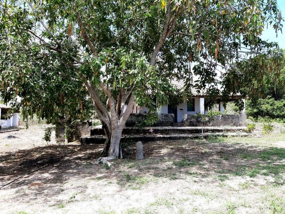 Terreno, 10 hectares - Foto 5