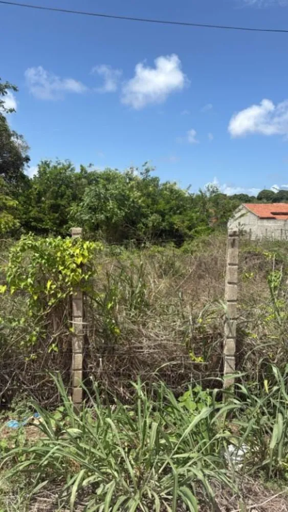 Terreno, 720 m² - Foto 4
