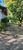 Terreno, 2 hectares - Foto 14