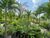 Terreno, 2547 m² - Foto 8