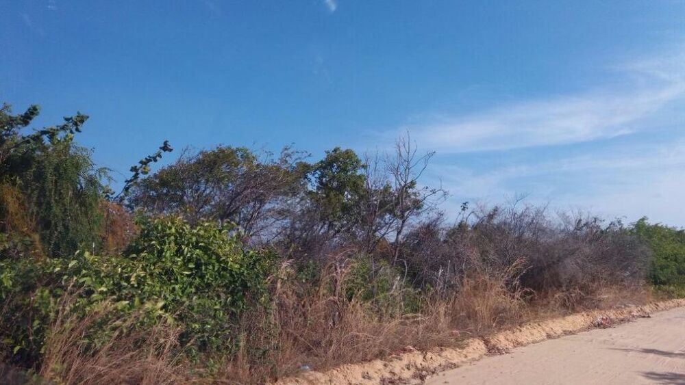 Terreno, 15 hectares - Foto 3