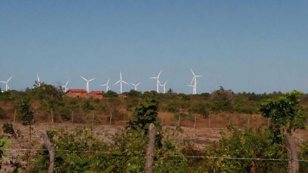 Terreno, 15 hectares - Foto 4