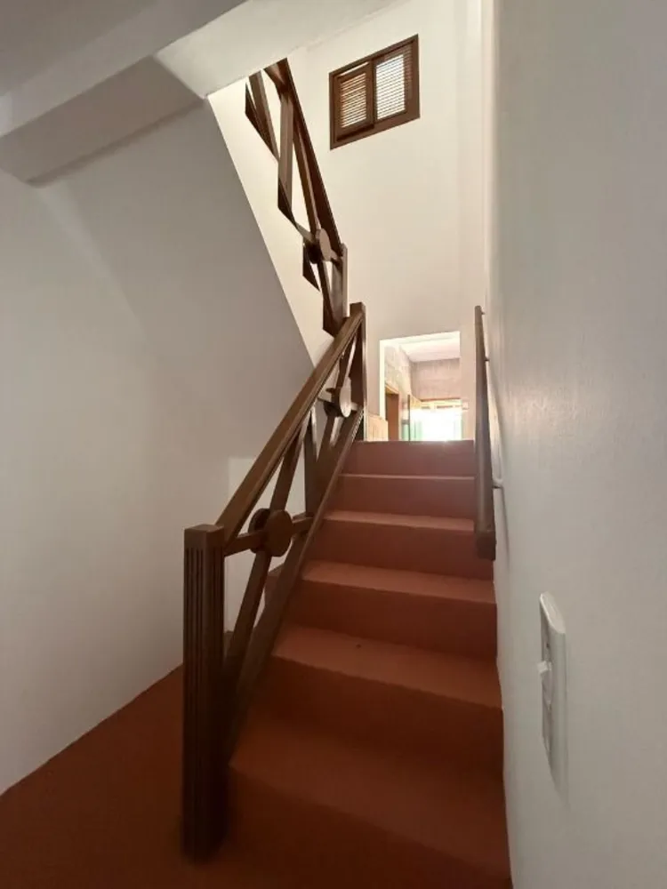 Casa, 4 quartos, 800 m² - Foto 6