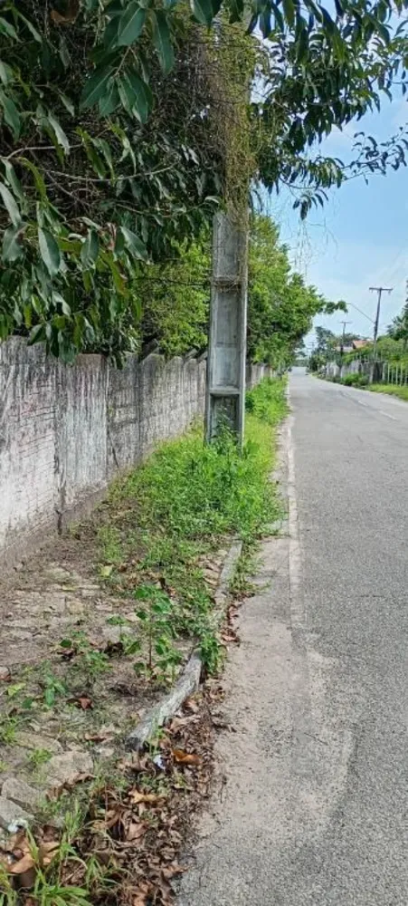 Terreno, 2000 m² - Foto 6