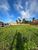 Terreno, 1016 m² - Foto 4