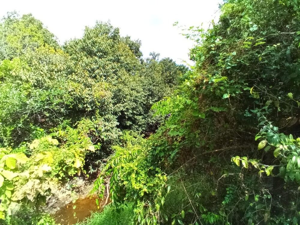 Terreno, 1 hectares - Foto 17