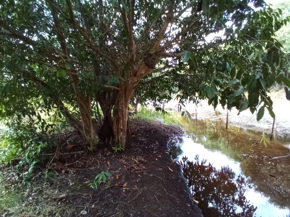 Terreno, 1 hectares - Foto 9