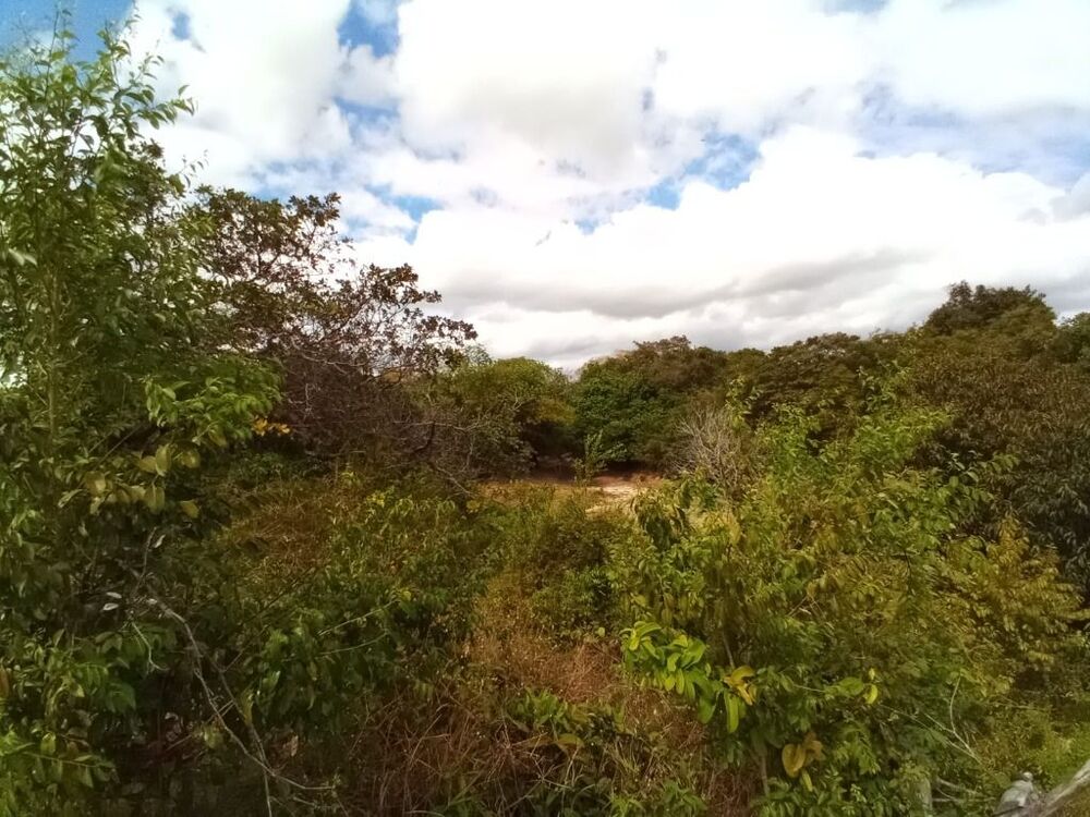 Terreno, 1 hectares - Foto 8