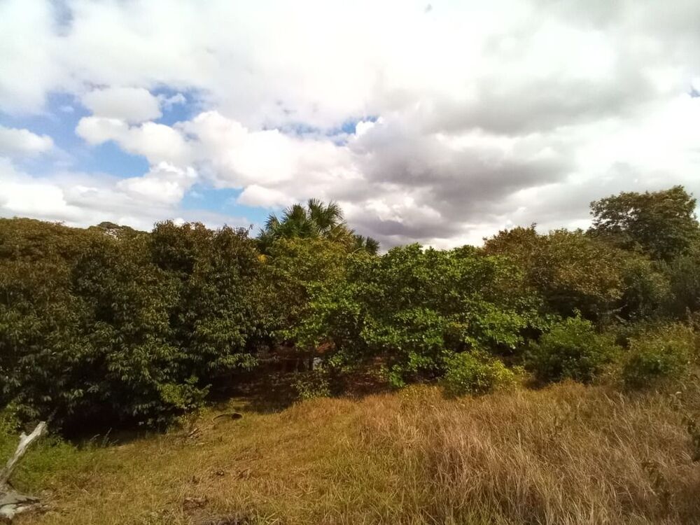 Terreno, 1 hectares - Foto 7