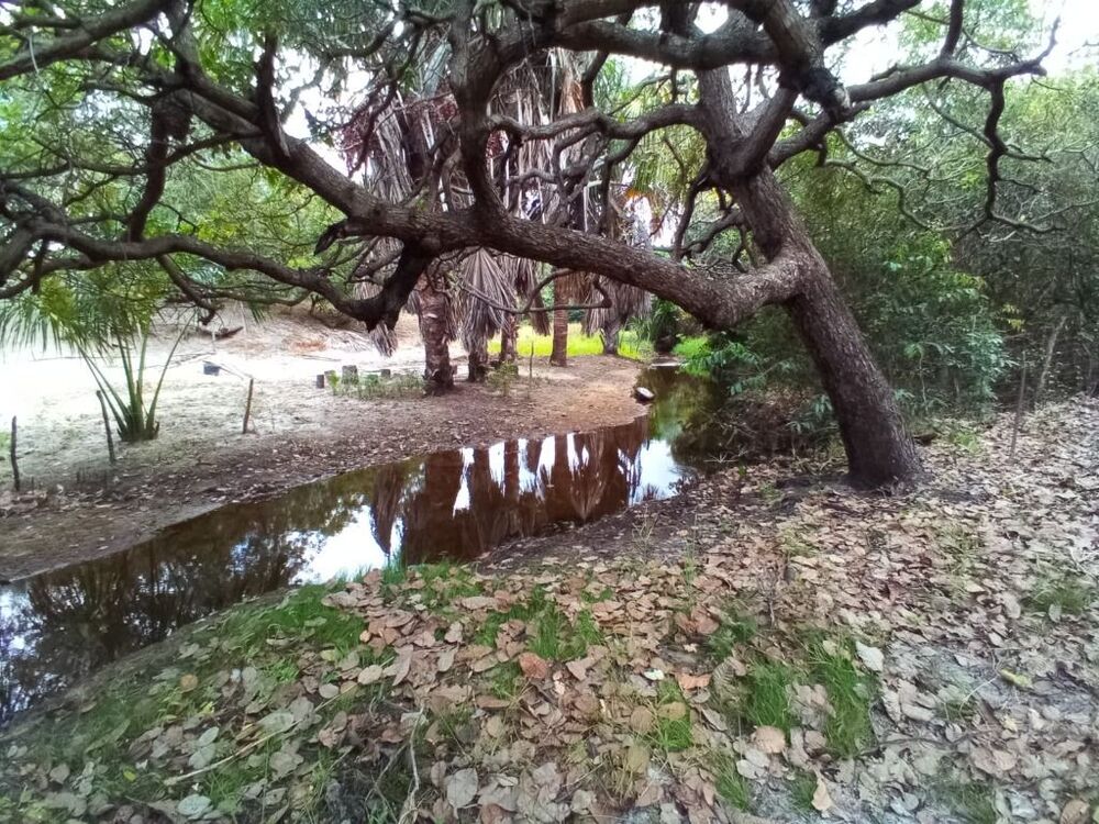 Terreno, 1 hectares - Foto 10