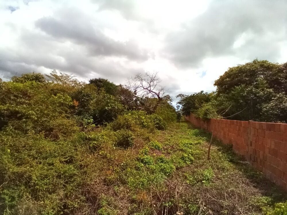 Terreno, 1 hectares - Foto 6