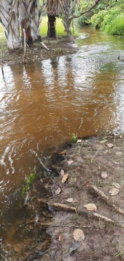 Terreno, 1 hectares - Foto 11