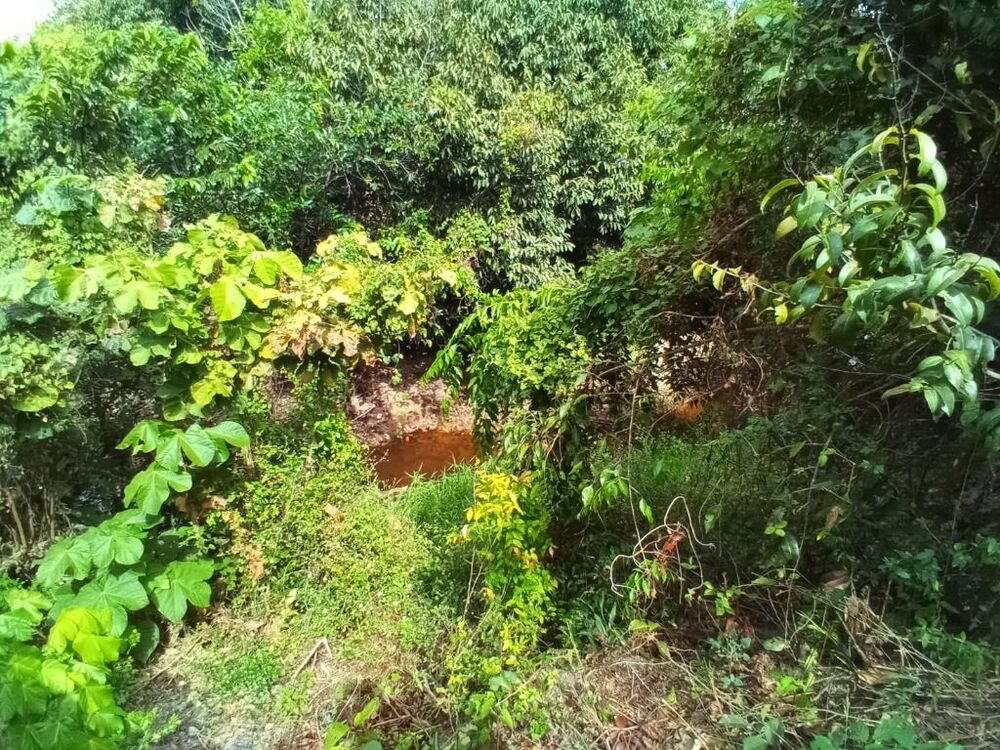 Terreno, 1 hectares - Foto 5