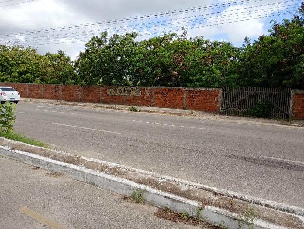 Terreno, 3333 m² - Foto 4