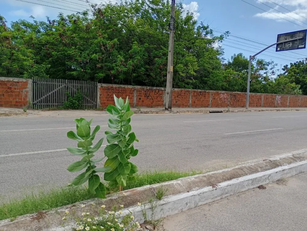 Terreno, 3333 m² - Foto 1