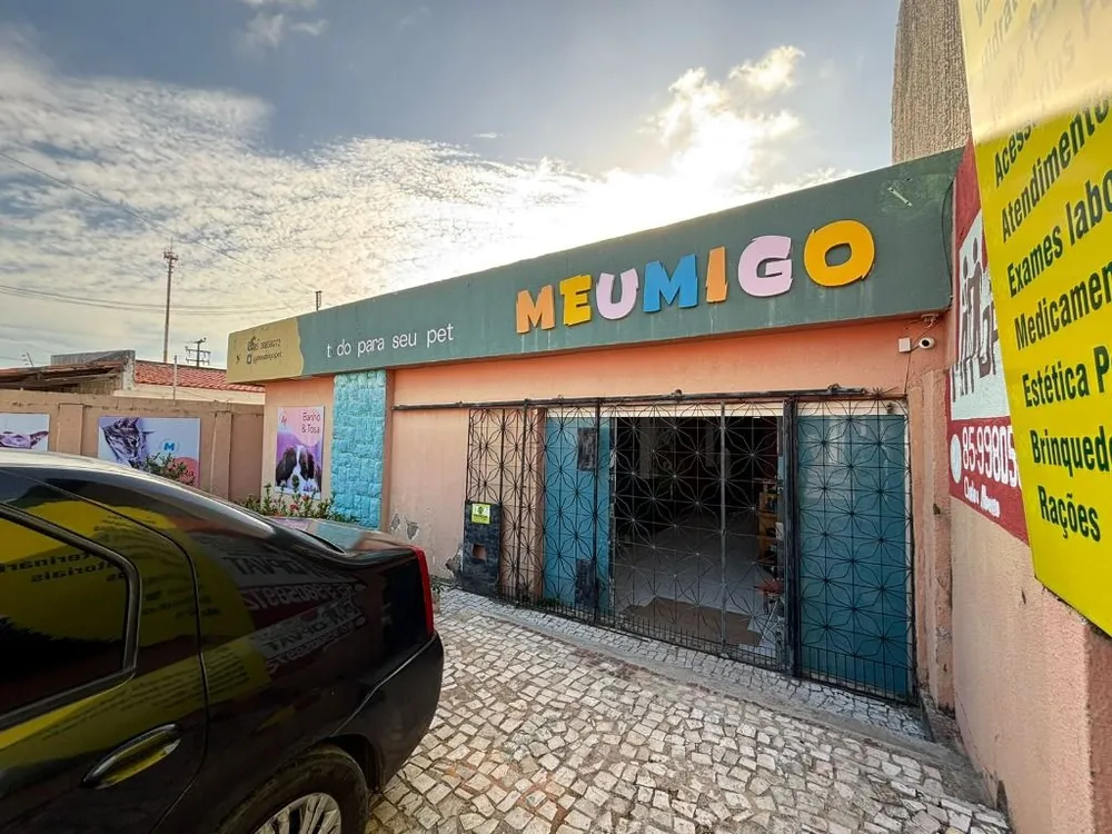 Casa, 3 quartos, 140 m² - Foto 12