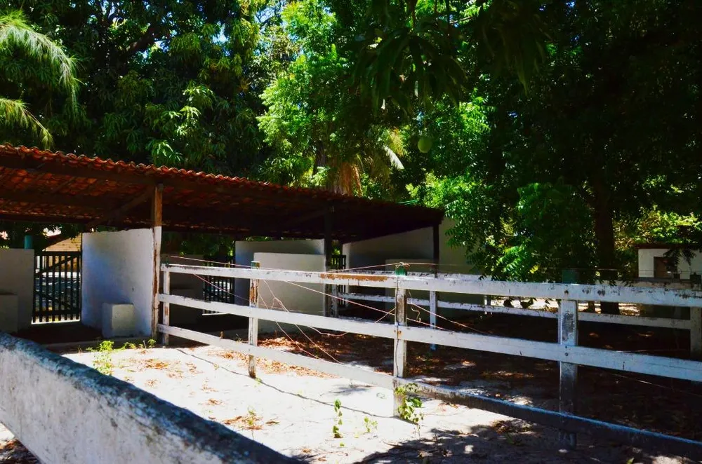 Sítio, 4 quartos, 70 hectares - Foto 16