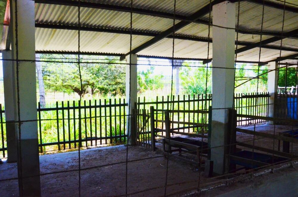 Sítio à venda com 4 quartos, 300m² - Foto 9