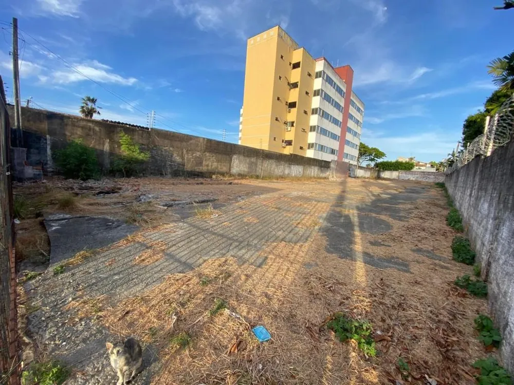 Terreno, 1040 m² - Foto 3