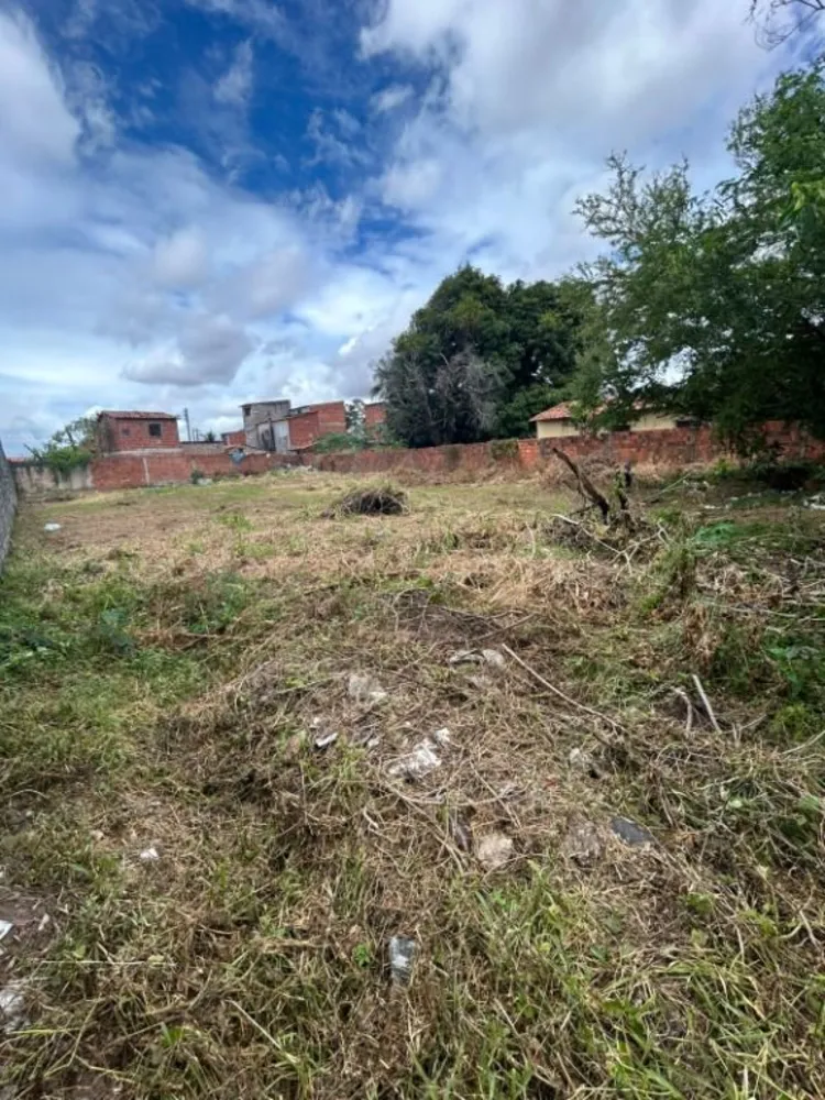Terreno, 1175 m² - Foto 3