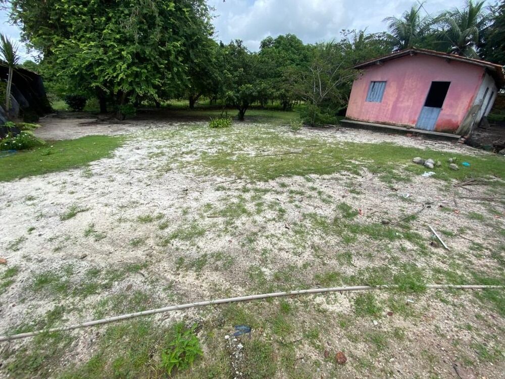 Sítio, 3 quartos, 4365 m² - Foto 17