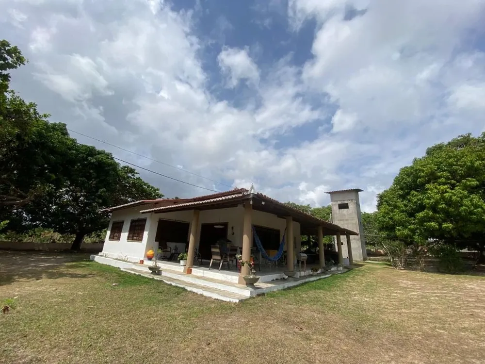 Sítio, 3 quartos, 3000 m² - Foto 2