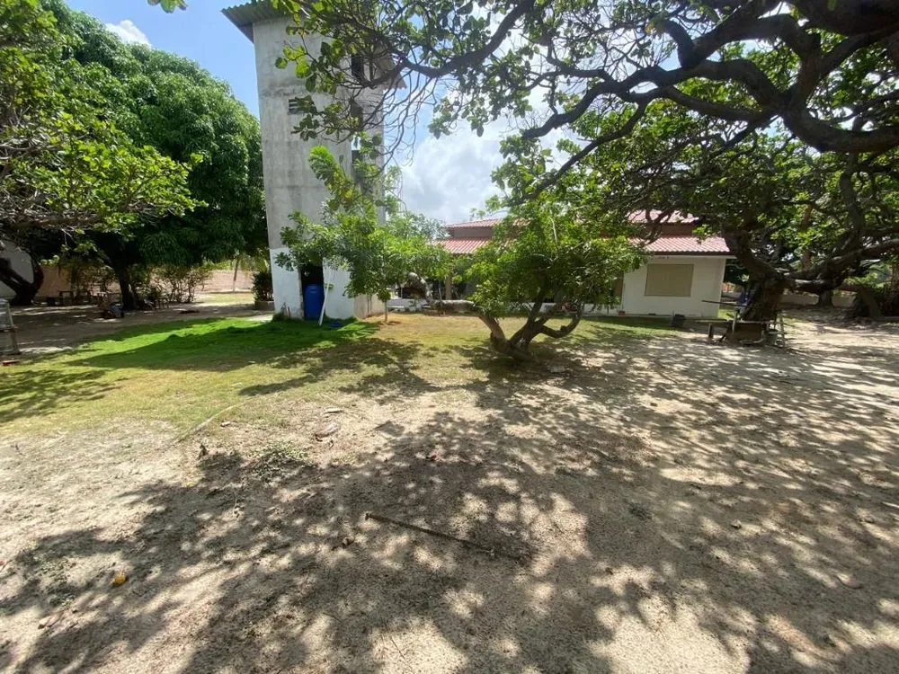 Sítio, 3 quartos, 3000 m² - Foto 3